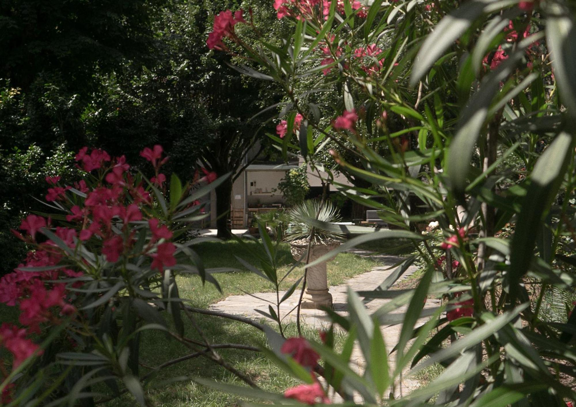 Residence Midi Mazamet Exterior photo